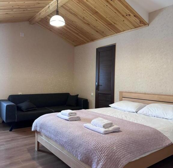 اتاق خانوادگی با چشم‌انداز کوه, Bala S House