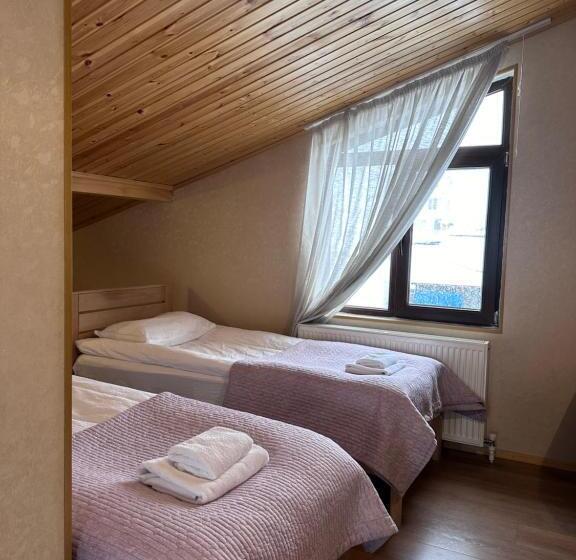 اتاق خانوادگی با چشم‌انداز کوه, Bala S House