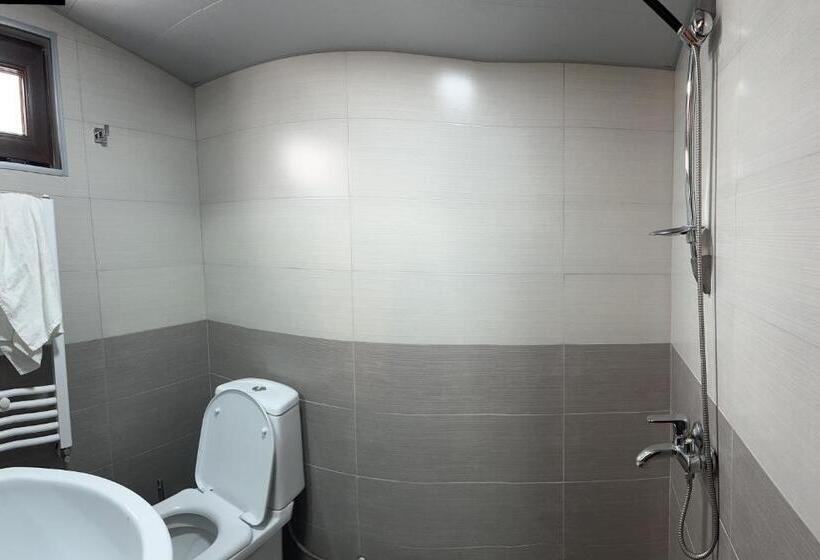 اتاق خانوادگی با چشم‌انداز کوه, Bala S House