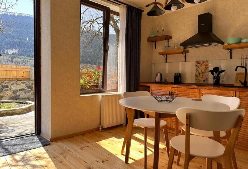 اتاق خانوادگی, Bala S House