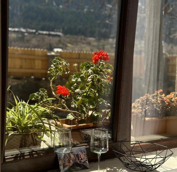 اتاق خانوادگی, Bala S House