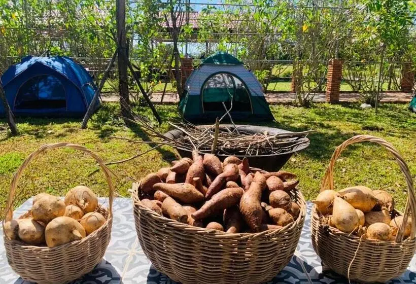 Economy-huone, Bat Rice Resort