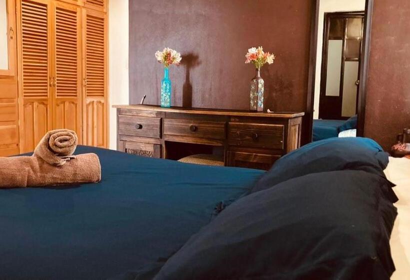 آپارتمان 1 خوابه با چشم‌انداز باغ, Casa Flor De Vida