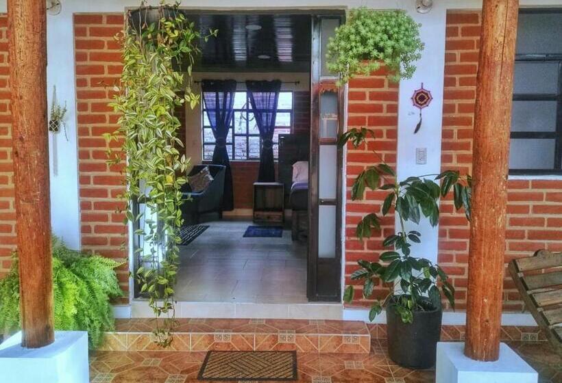سوییت, Casa Flor De Vida
