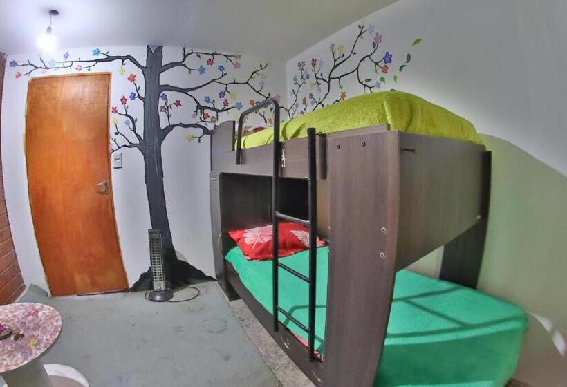 Четырехместный Номер Economy, Casita Del Arbol Hostel
