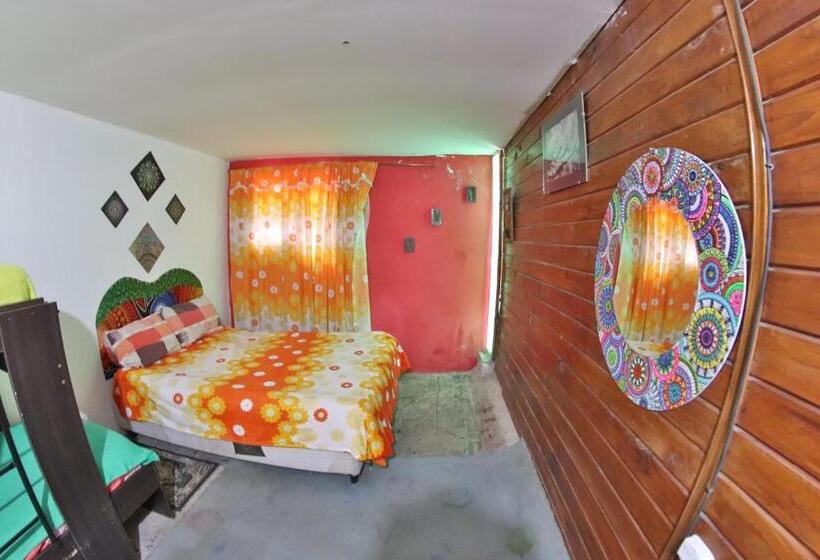 Четырехместный Номер Economy, Casita Del Arbol Hostel