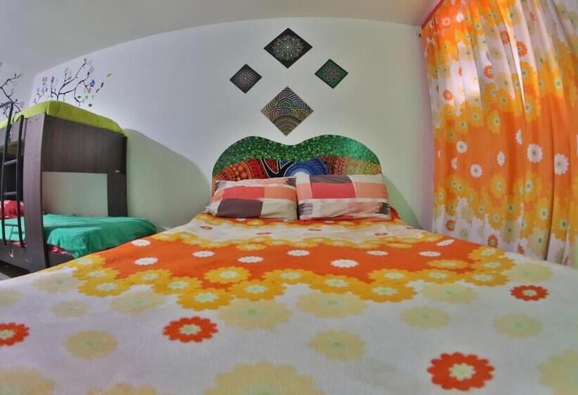 Четырехместный Номер Economy, Casita Del Arbol Hostel