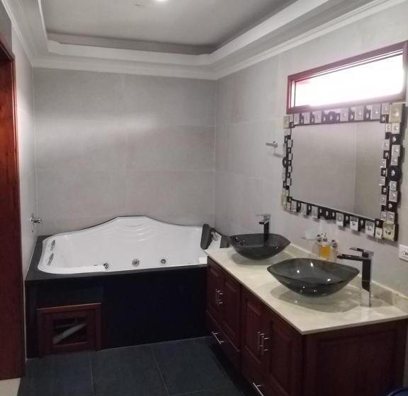 带大床的套房, Confort Cafetero