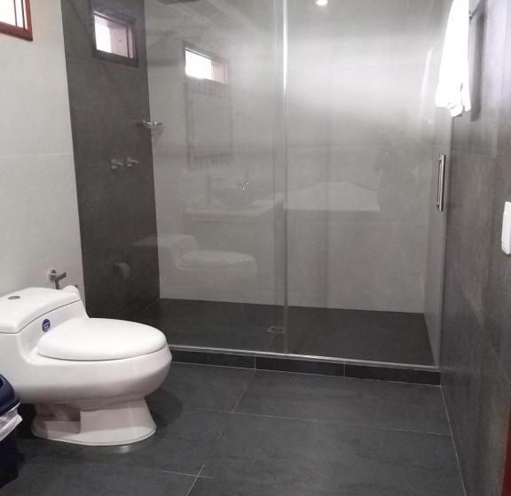 带大床的套房, Confort Cafetero