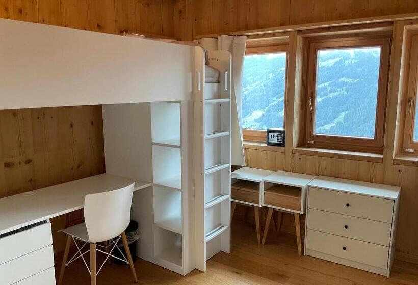 اتاق اکونومی, Ski