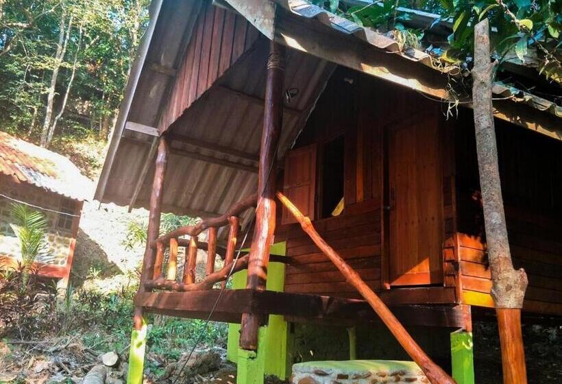 スタンダードシングルルーム, Hornbill Bungalow Koh Chang Ranong