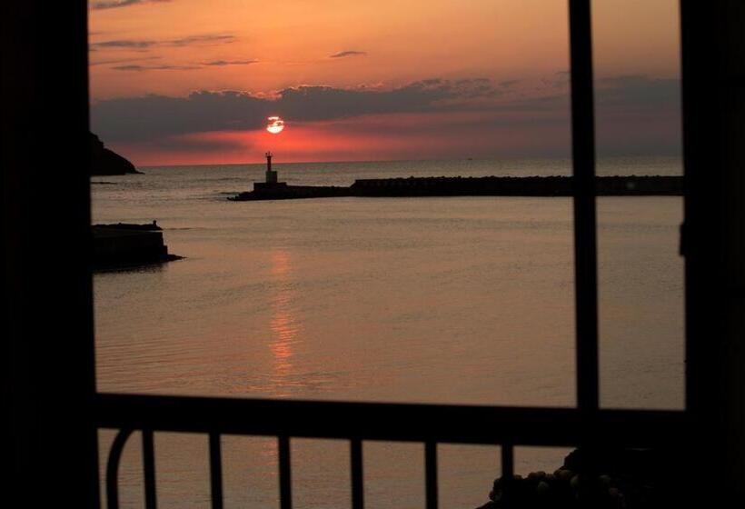 スタンダードルーム, Nekozaki