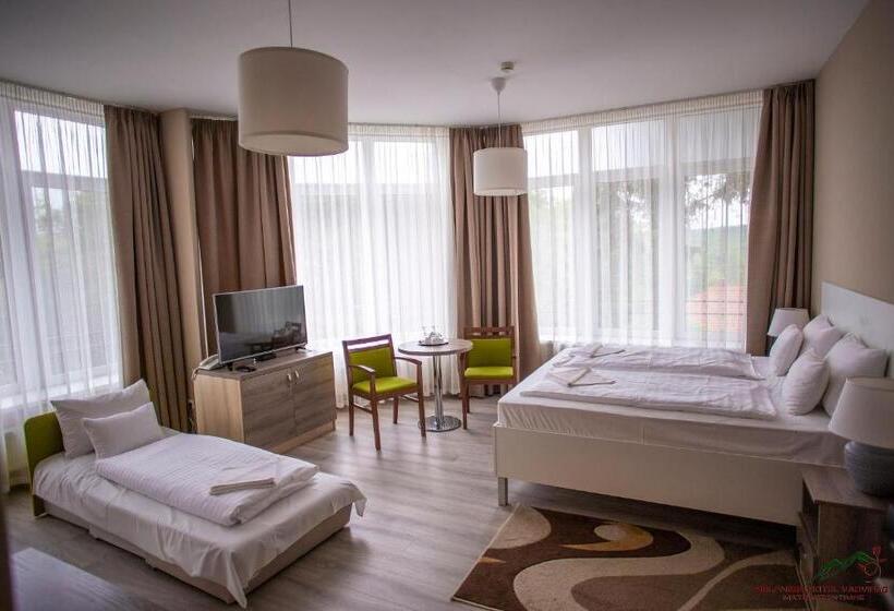 اتاق استاندارد, Selfness Hotel Vadvirág Mátraszentimre