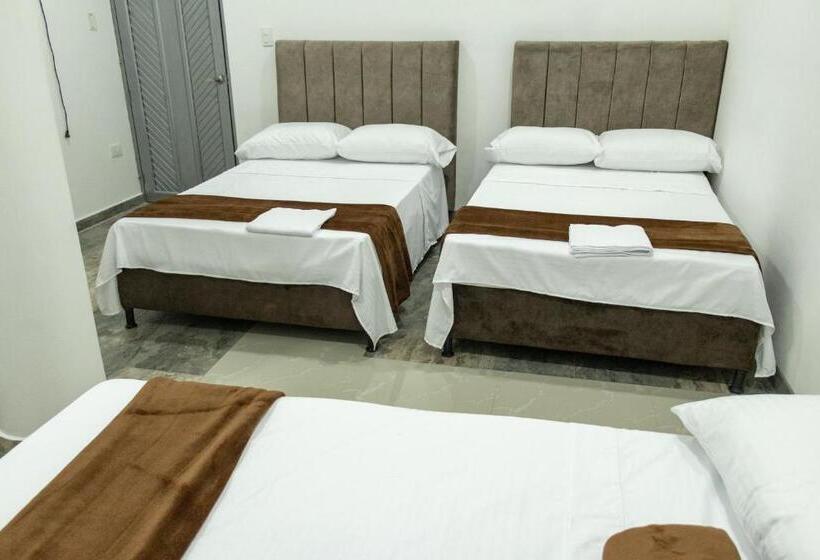 四人标准间, Maranta