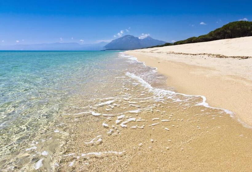 Apartamento 1 Dormitório, Isa Residence In Orosei Just 3 Km From The Beach, Apartments With Air Conditioning And Private Outdo