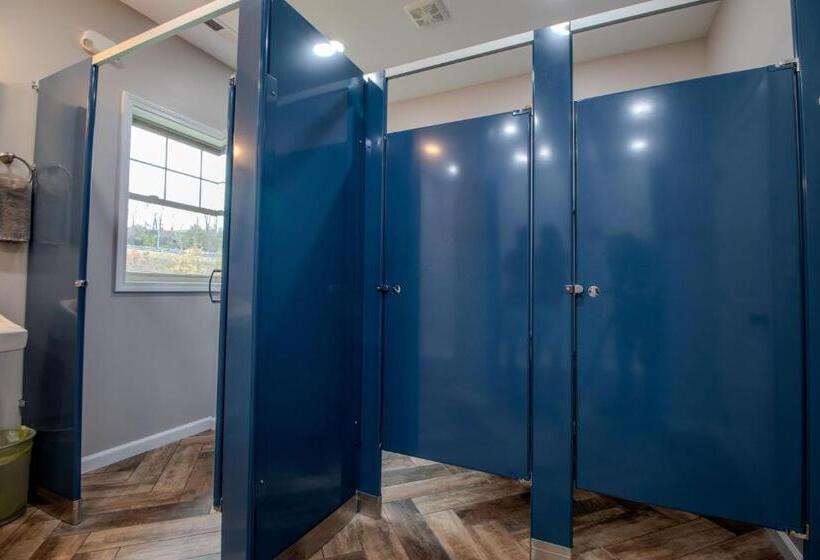 Номер Стандарт Совместная Ванная, The Lazy Tiger Hostel