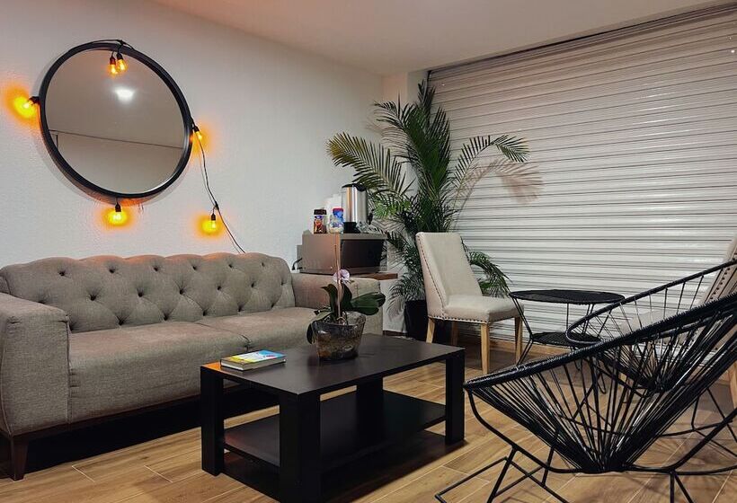 スタンダードルーム, Discover Condesa Ideal Location