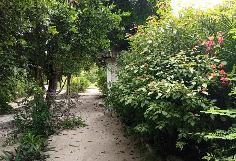 Standard-huone, Bwejuu Garden View Bungalows