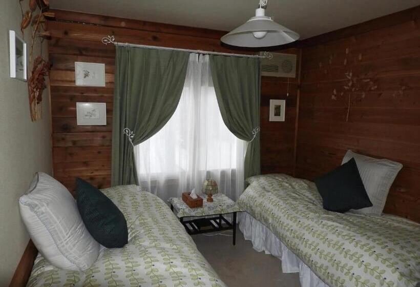 Standard Room, Snowfall Meteor 飛雪流星