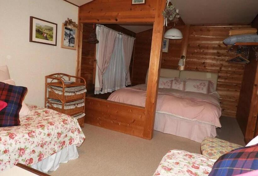 Standard Triple Room, Snowfall Meteor 飛雪流星