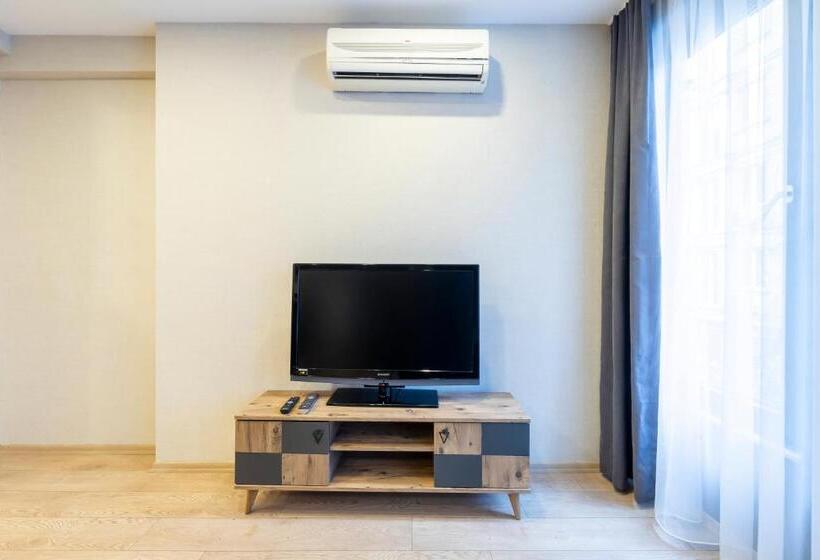 带大床的标准工作室, The Business Class Suit