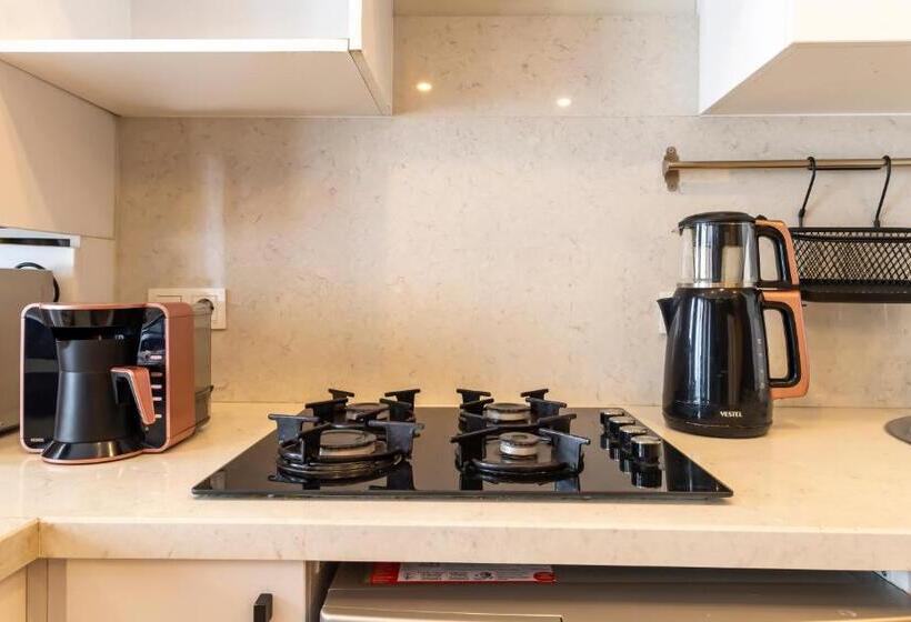 复式套房, The Business Class Suit