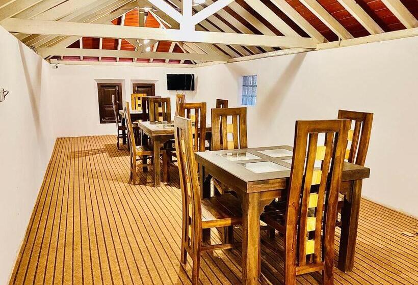 スタンダードシングルルーム, Nature Will