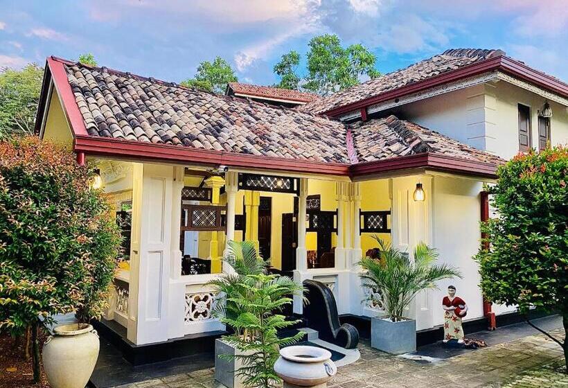 غرفة قياسية, Nature Will