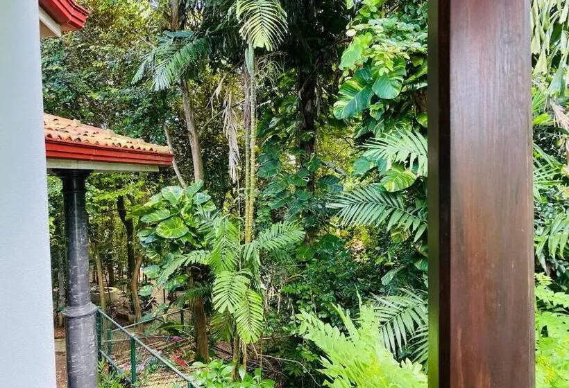 バルコニー付き１ベッドルームアパートメント, Nature Will