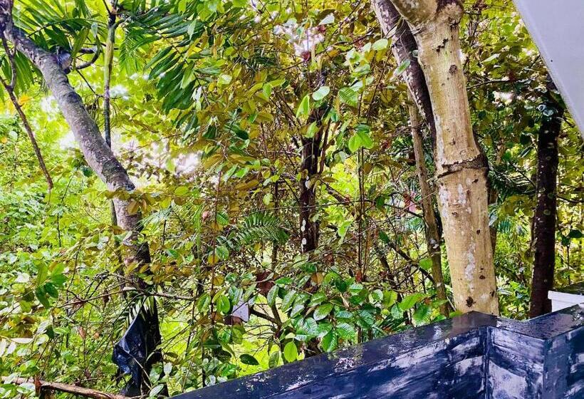 شقة غرفة واحدة, Nature Will