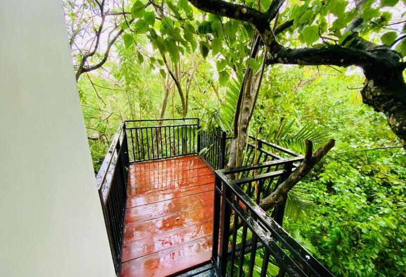 شقة غرفة واحدة, Nature Will