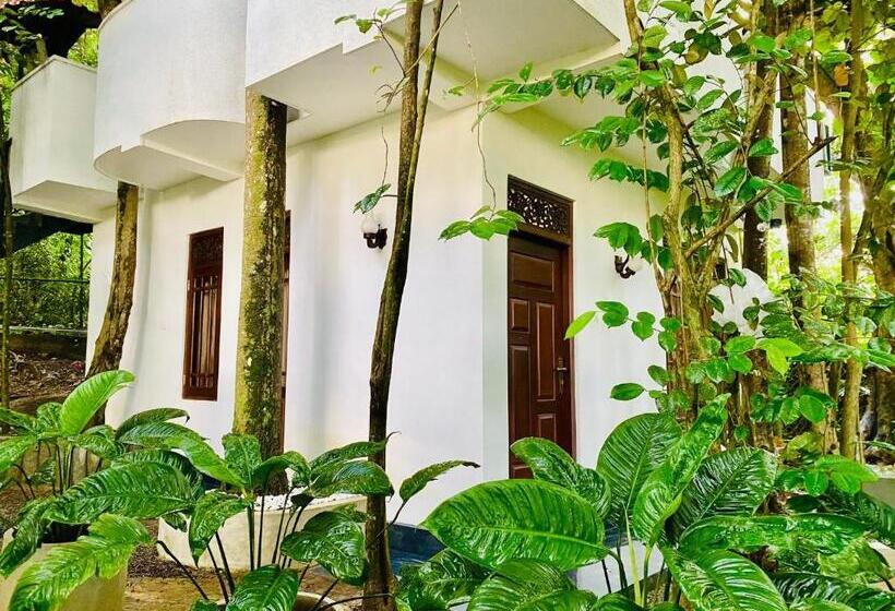 １ベッドルームアパートメント, Nature Will