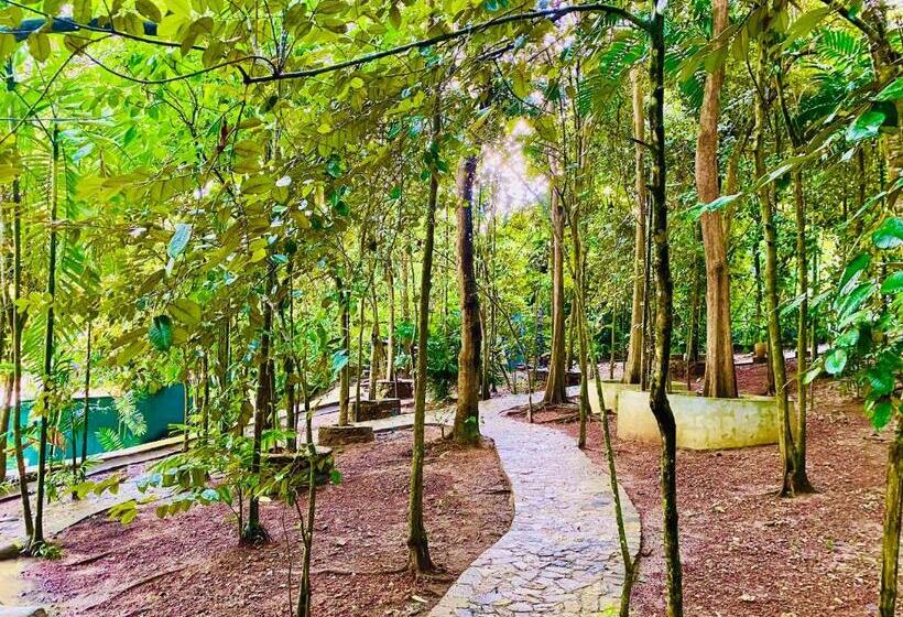 テラス付き１ベッドルームアパートメント, Nature Will