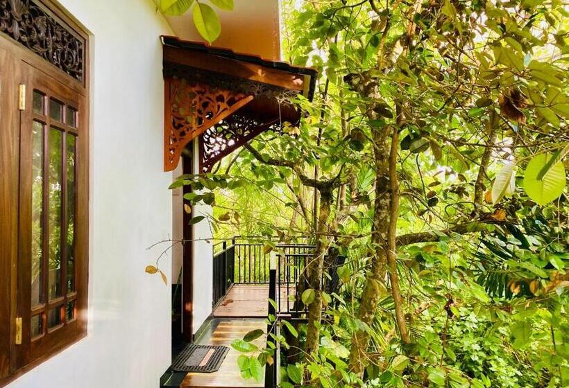 شقة غرفة واحدة مزودة بتراس, Nature Will