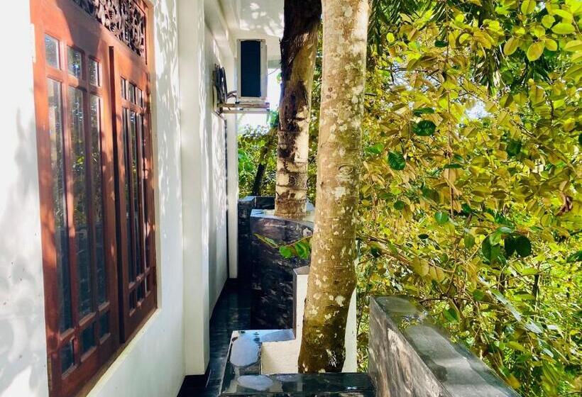 شقة غرفة واحدة مزودة بتراس, Nature Will