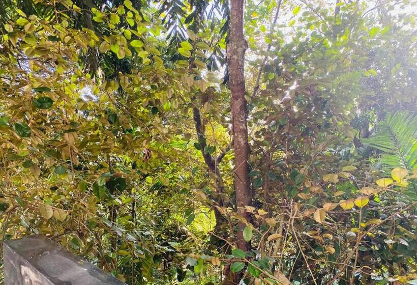 شقة غرفة واحدة مزودة بتراس, Nature Will