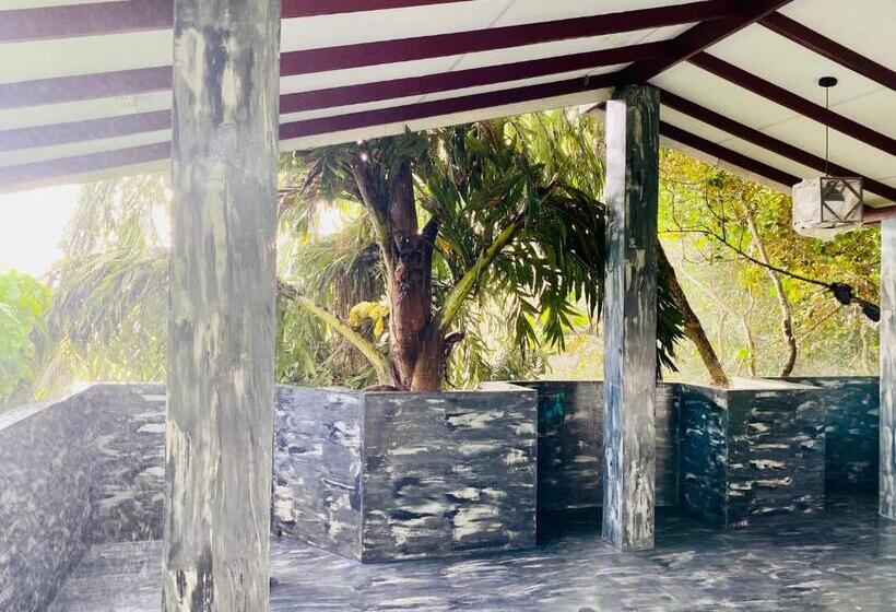 テラス付き１ベッドルームアパートメント, Nature Will