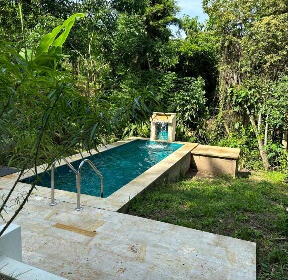 Люкс Superior, Selva Serena
