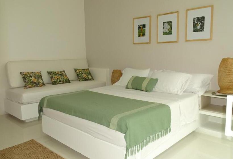 جناح جونيور مزوَّد بتراس, Selva Serena