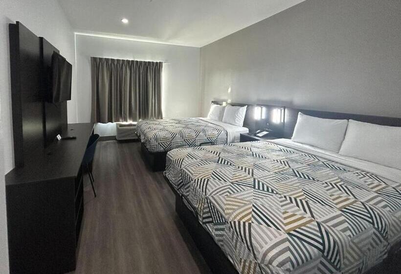 اتاق استاندارد برای معلولان, Motel 6 Dallas, Tx Methodist Charlton Medical Ctr