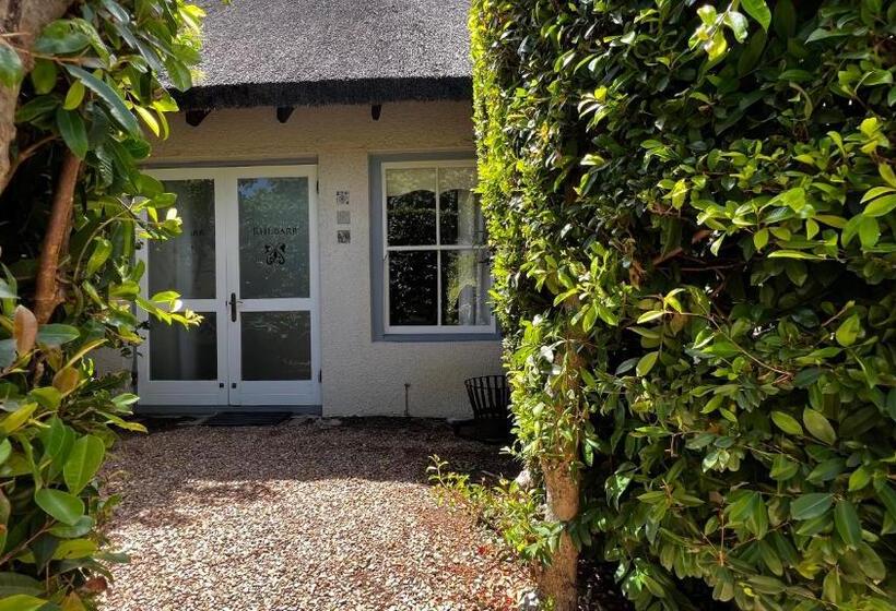 اتاق استاندارد با تراس, In The Vine Country Manor Guesthouse