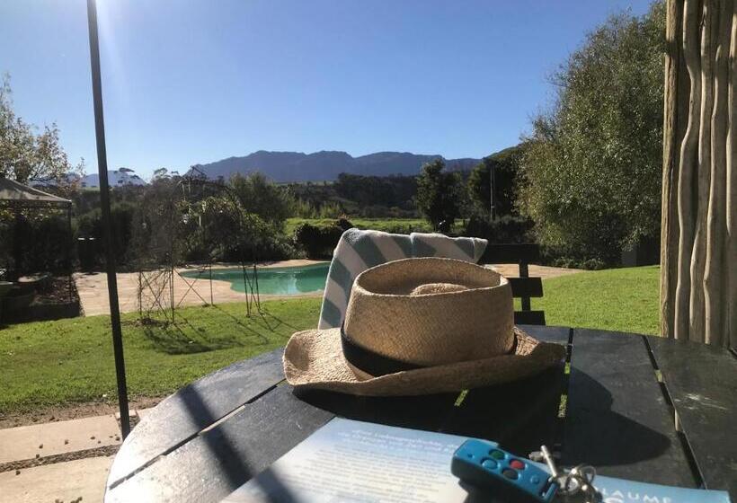 اتاق استاندارد با چشمانداز استخر, In The Vine Country Manor Guesthouse