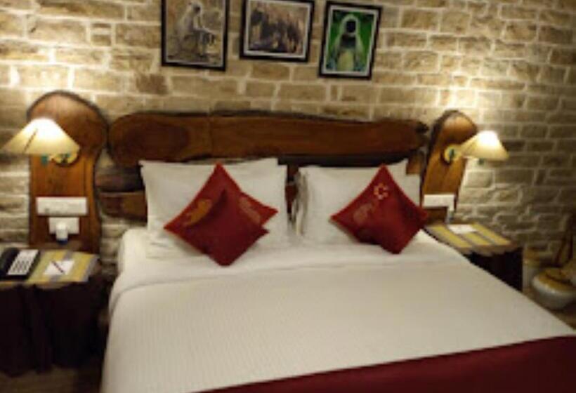 Номер Стандарт, Dup