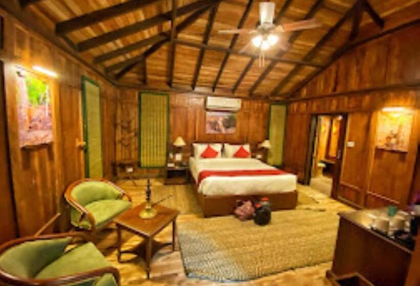 Номер Deluxe, Dup