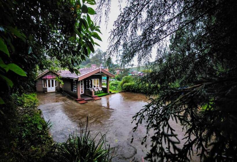 スタンダードルーム, Woodhouse By Bob