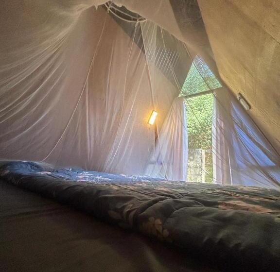 Standard Tent, Woodhouse By Bob