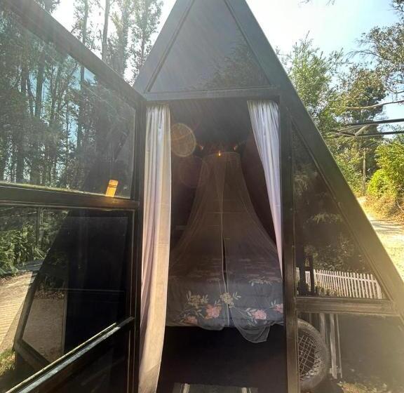 Standard Tent, Woodhouse By Bob