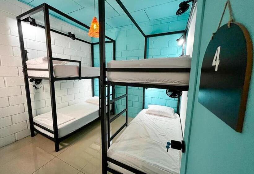 اتاق استاندارد چهارنفره با سرویس بهداشتی مشترک, Lolas Hostal, Habitacion Exclusiva Para Mujeres, 2 Camarotes, Precio Por Cama