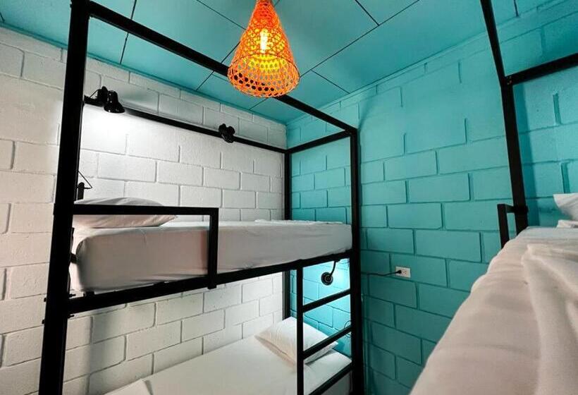 اتاق استاندارد چهارنفره با سرویس بهداشتی مشترک, Lolas Hostal, Habitacion Exclusiva Para Mujeres, 2 Camarotes, Precio Por Cama