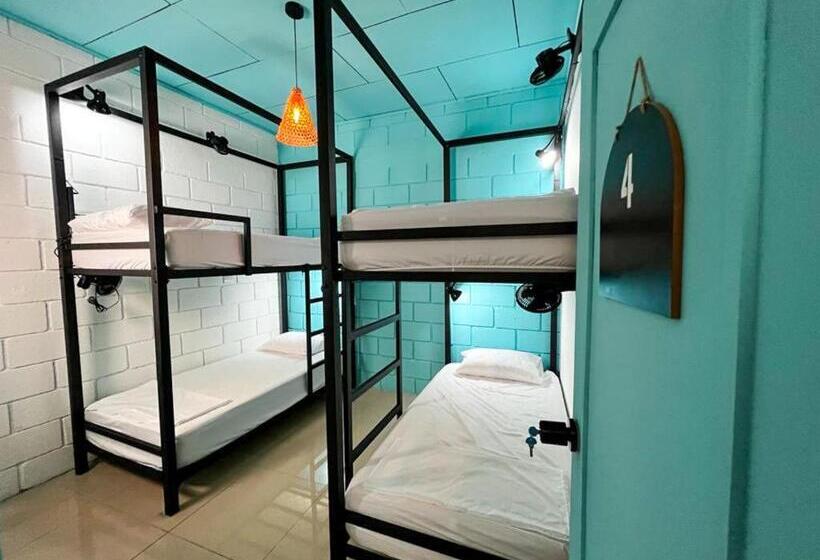 浴室共有スタンダード４人用ルーム, Lolas Hostal, Habitacion Exclusiva Para Mujeres, 2 Camarotes, Precio Por Cama